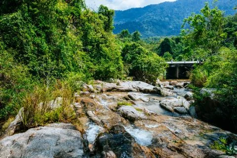 A small mountain river flows among large stones in mountainous areas, nature Stock Photos
