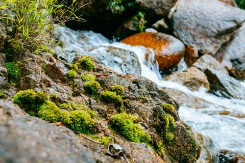A small mountain river flows among large stones in mountainous areas. Natural Stock Photos