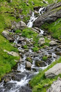 A small mountain river flows between the rocks Stock Photos