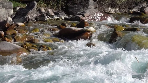 Small mountain river flows down the stones 스톡 동영상 116559331