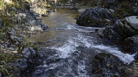 Small mountain river Stock Footage 104071166