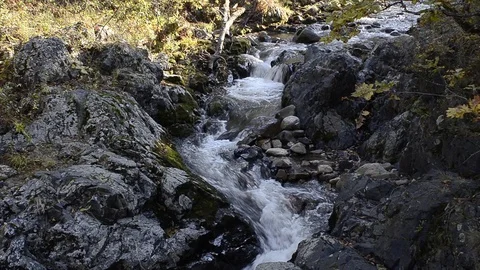 Small mountain river Stock Footage 104187661