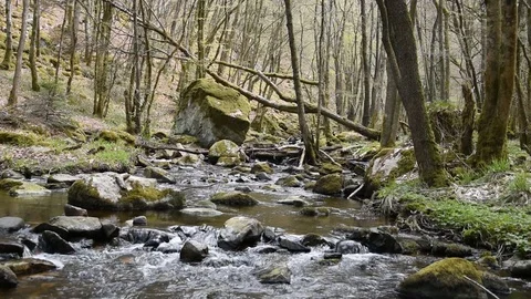 Small mountain river Stock Footage 106727156