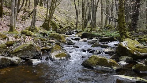 Small mountain river Stock Footage 106727703