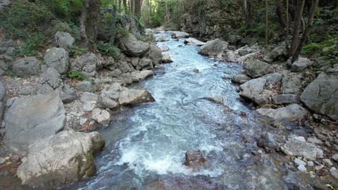 Small mountain river Stock-Footage 223801903