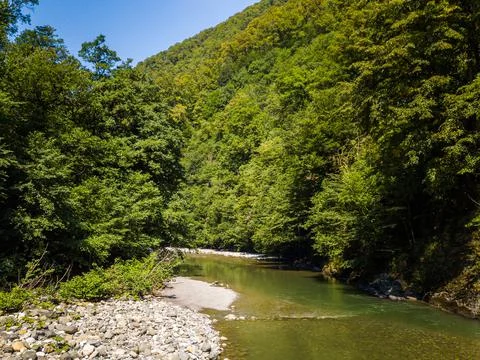A small mountain river in a forest Stock-Fotos