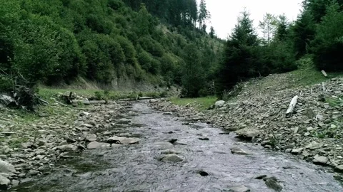 Small mountain river with fresh water and pebble Stock Footage 313730779