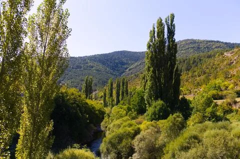 A small mountain river hidden in the forest Stock Photos
