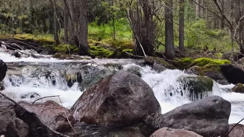 Small mountain river with icy clear water, close up. Video stock 166249186