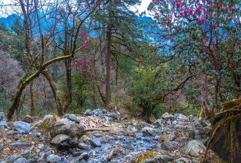A small mountain river in Nepal. Stock Photos