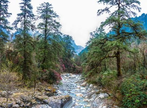 A small mountain river in Nepal. Stock Photos