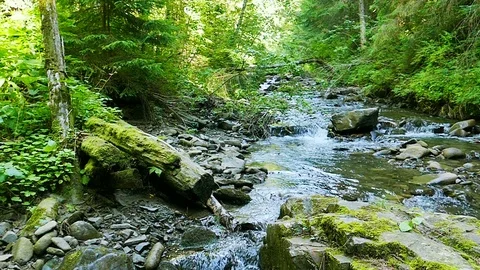 Small mountain  river  with old stone and green moss. Slow motion Stock Footage 79891527