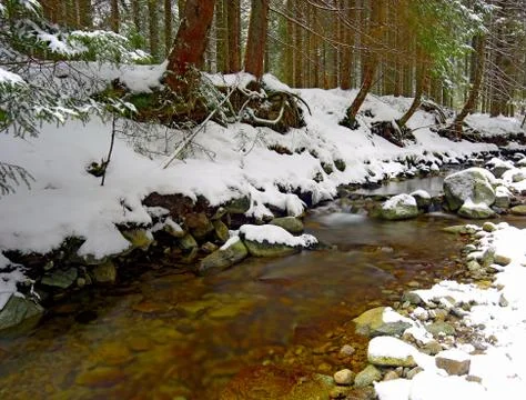 Small mountain river Foto stock