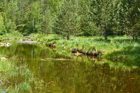 Small mountain river Stock Photos