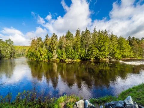 Small mountain river Stock Photos