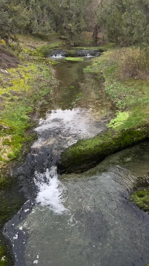 A small mountain river of pure and crystalline waters flows calmly Stock Footage 260355889