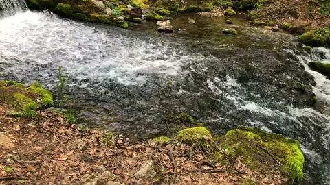 Small mountain river with riffles Stock Footage 194561230