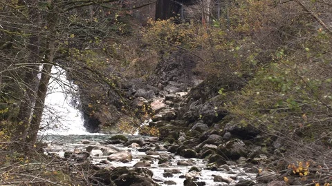 Small mountain river. slow motion Stock Footage 97972682