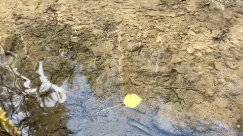 Small mountain river with a small waterfall Stock Footage 106027995