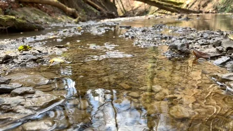 Small mountain river with a small waterfall Stock-Footage 106028288