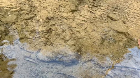 Small mountain river with a small waterfall 動画素材 106029140
