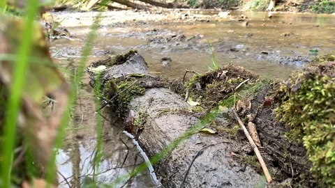 Small mountain river with a small waterfall Stock Footage 106029361