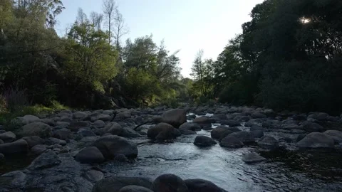 Small mountain river, stream flow, water and stones Stock Footage 170557383