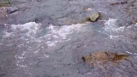 Small mountain river tempestuous by current and stone Stock Footage 114364320