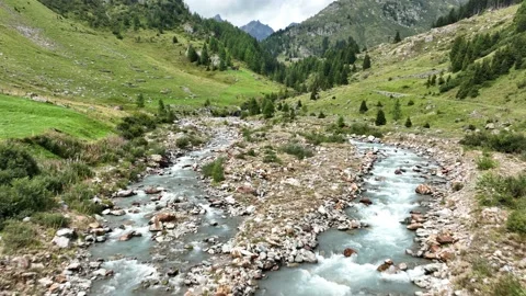 Small mountain rocky river in alp landscape. Rural countryside in central Video stock 219022459