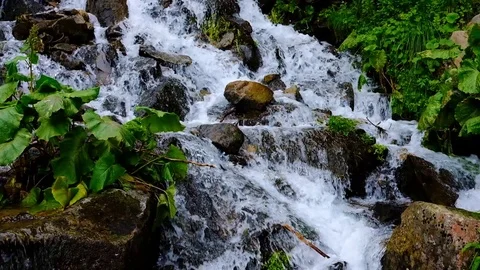 Small mountain sream close up slow motion video Video stock 91930494