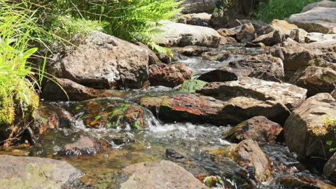 Small Mountain Stream, 4K Stock Footage 233117483