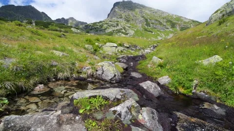 Small mountain stream, clear water and black moss Stock-Footage 238379323