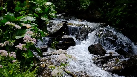 Small mountain stream close up slow motion video Video stock 92077484