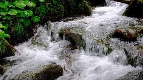 Small mountain stream close up slow motion video Stock Footage 92239610