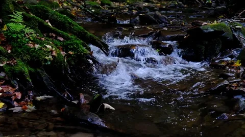 Small mountain stream close up slow motion video Stock Footage 99726286