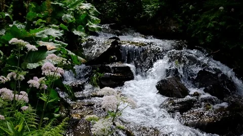 Small mountain stream close up slow motion video Stock Footage 99726293