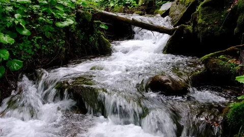 Small mountain stream close up slow motion video Stock-Footage 101928650