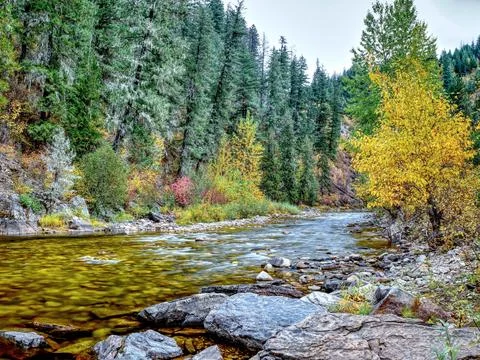 Small mountain stream during fall. Stock Photos