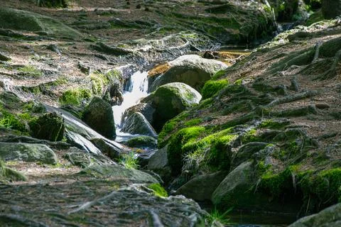 Small mountain stream flowing between mossy rocks in a peaceful forest. Stock Photos