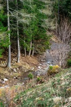 A small mountain stream flowing between the hills of the Austrian Alps Foto stock