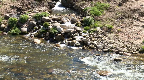 Small mountain stream flowing into larger river Stock Footage 49034481