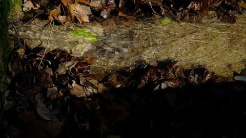 Small Mountain Stream Flowing Over a Rock Stock Footage 121410622