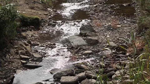 Small Mountain Stream Flowing Over Rocks Stock Footage 329841463