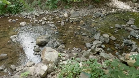Small mountain stream flowing over rocks and stones Stock Footage 345493799