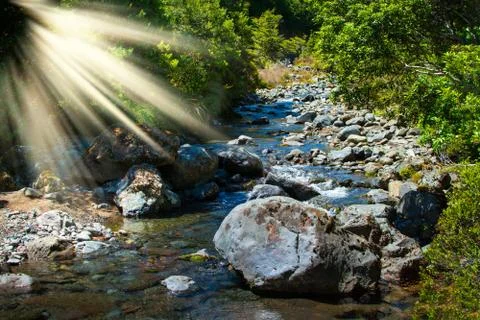 Small mountain stream flowing over rocks amid lush greenary of the banks Stock Photos