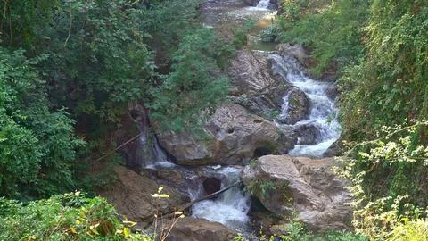 Small mountain stream flowing over rocks in forest setting Stock Photos