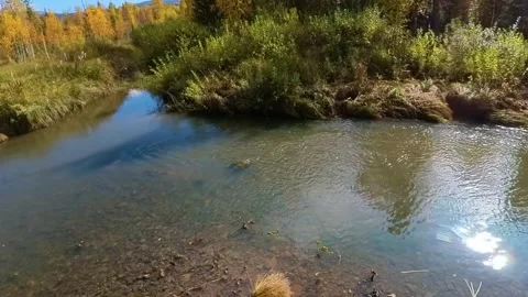 Small Mountain Stream Flowing Through Lush Green Landscape in Southern Urals, Ru Stock Footage 325453396
