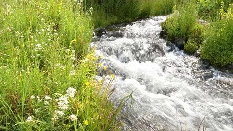 Small mountain stream flowing into trout lake at yellowstone Stock Footage 80215180