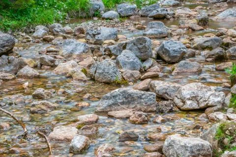 A small mountain stream flows in the forest among the stones. Stock-Fotos