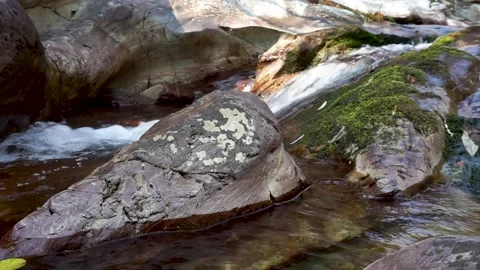 Small mountain stream Stock Footage 221164507